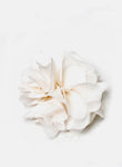 Style: ABIGAIL Mini Silk Petal Cluster Corsage Topping Peony Rice